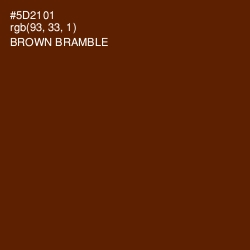 #5D2101 - Brown Bramble Color Image